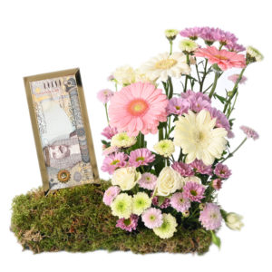 Money Acrylic envelope